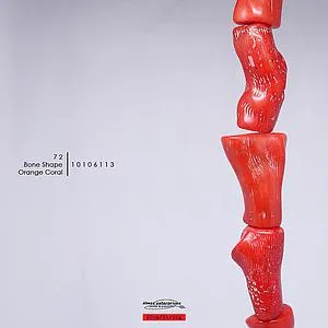 [10106113] Bone Shape Orange Coral