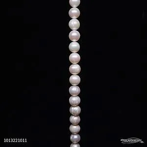 [1013221011] 10-11mm B Tomato Fwp