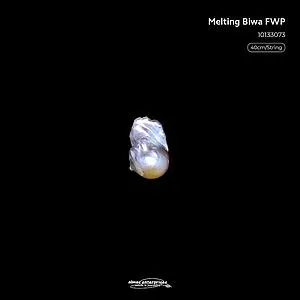 [10133073] Melting Biwa Fwp