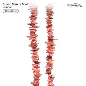 [10147007] BROWN SQ SHELL