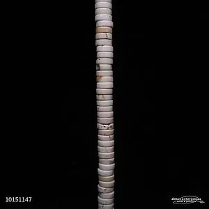 [10151147] But 4x8 White Stab Turquoise