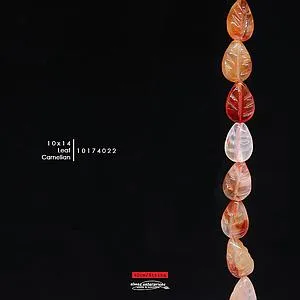 [10174022] Leaf 10x14 Carnelian