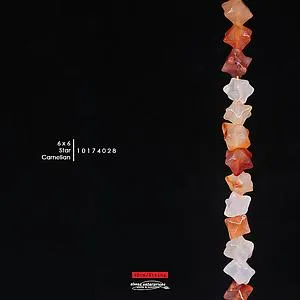 [10174028] Star 6x6 Carnelian