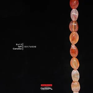 [10174030] Spin 8x12 Carnelian