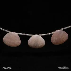 [10289300] Shell Shaped Sun Stone