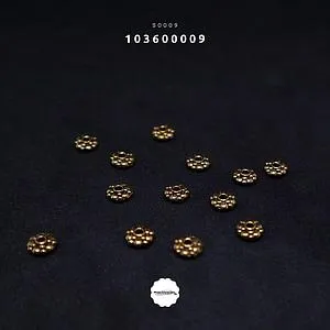 [103600009] Aljiu S0009 /72 (AntiqGold)
