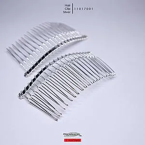 Hair Clip/2