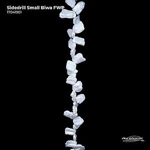 [17041901] Sidedrill Small Biwa FWP