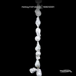[1808250301] Melting FWP AB 830