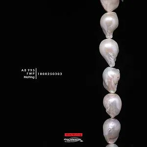 [1808250303] Melting FWP AB 995