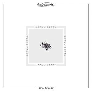 [1907210110] No.10 Small Charm/12