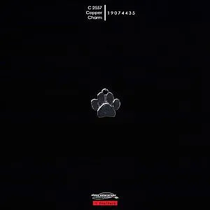[19074435] C 2557 Copper Charm/3