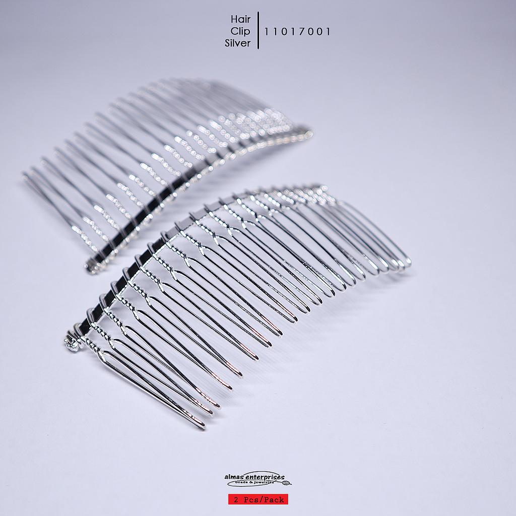 Hair Clip/2