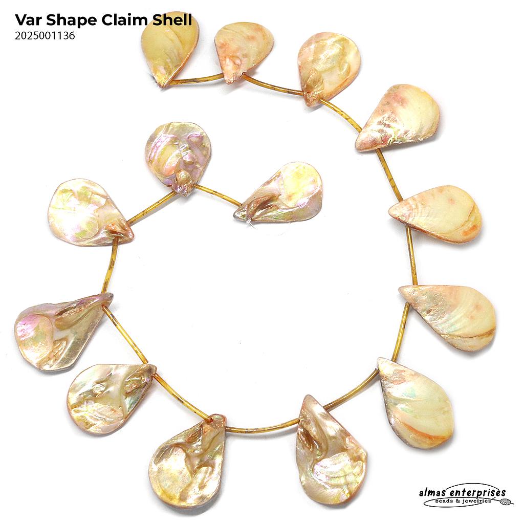Various Shape Shell