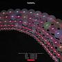 Round Mix Chalcedony